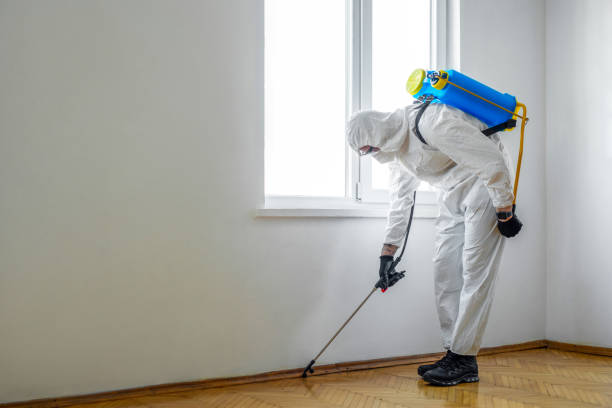 Best Residential Pest Control  in Walkersville, MD